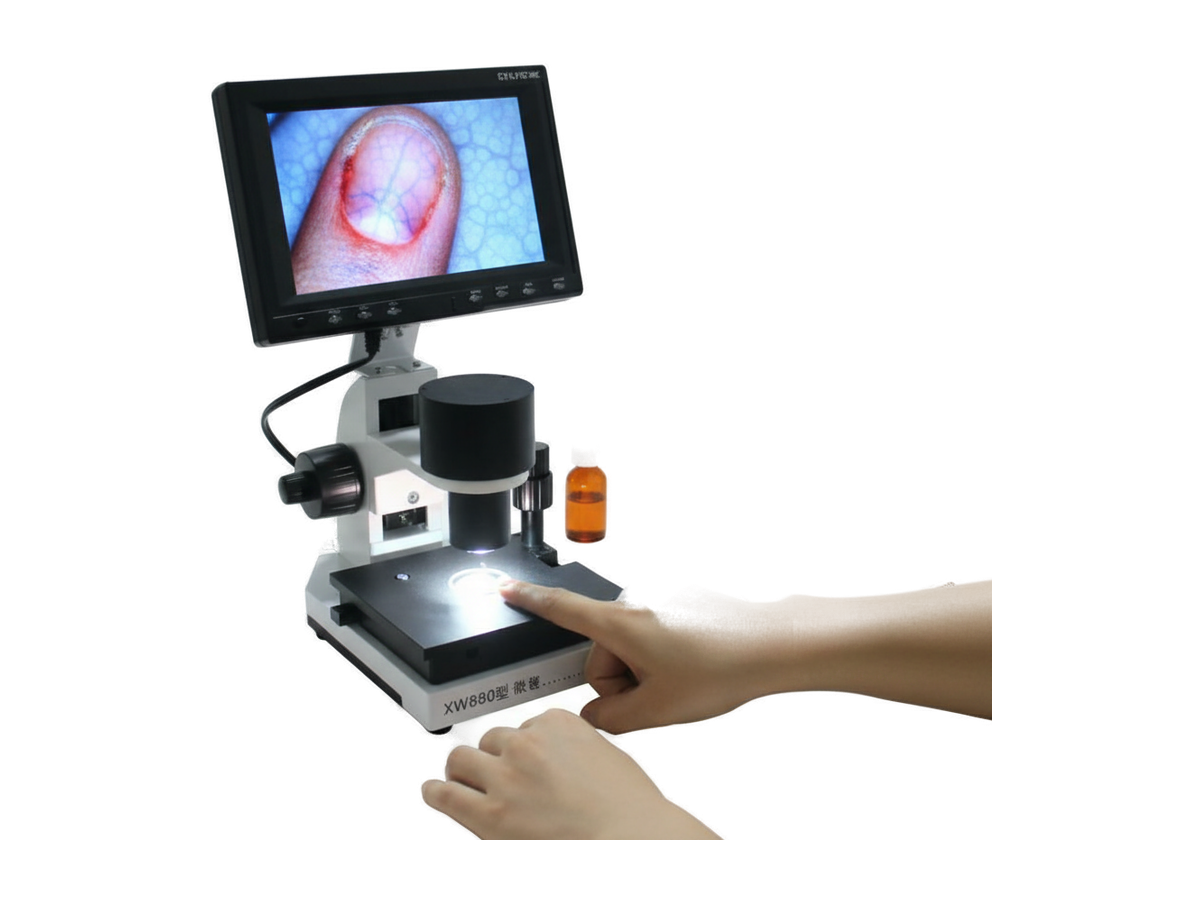 Microcirculation Analyzer